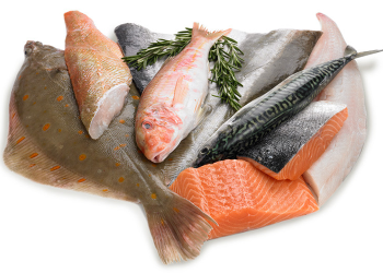 pescado-tipos-propiedades